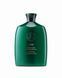 Eternal Curls Moisturizing Shampoo | Шампунь для зволоження волосся &laquo;Досконалі кучері&raquo;, 250 мл OR240 фото 1